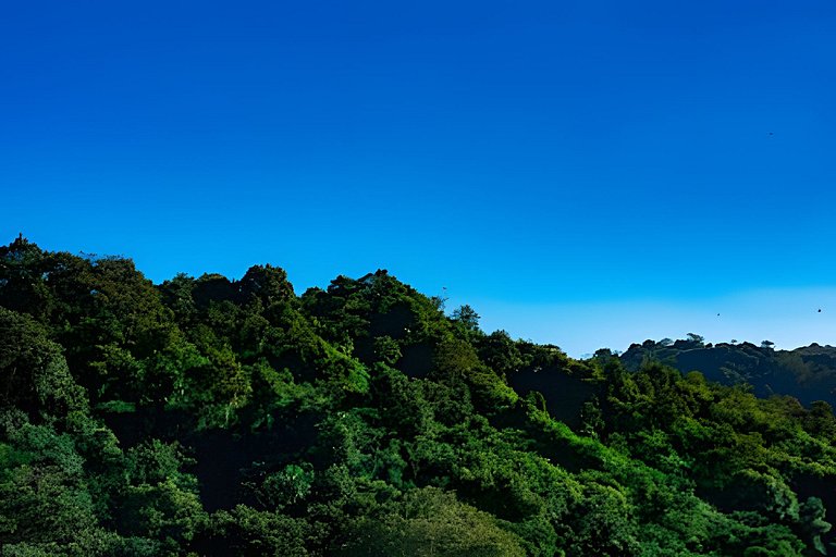 Hotel mágico: Tu Aventura Tayrona / Sierra Nevada